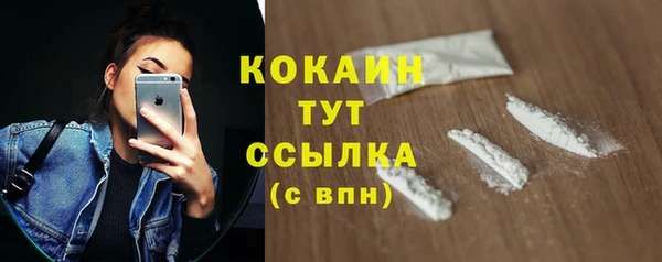 гашик Арсеньев