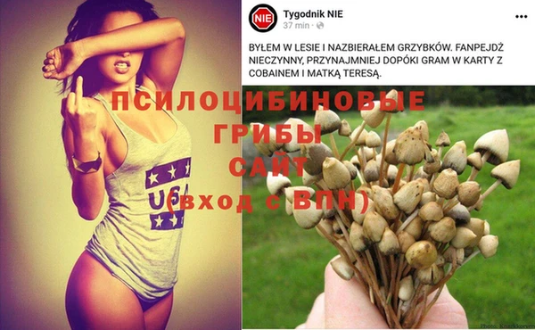 гашик Арсеньев