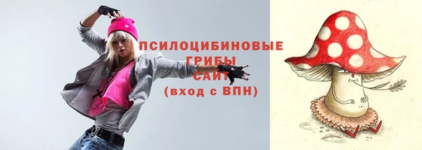 гашик Арсеньев