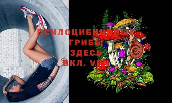 гашик Арсеньев