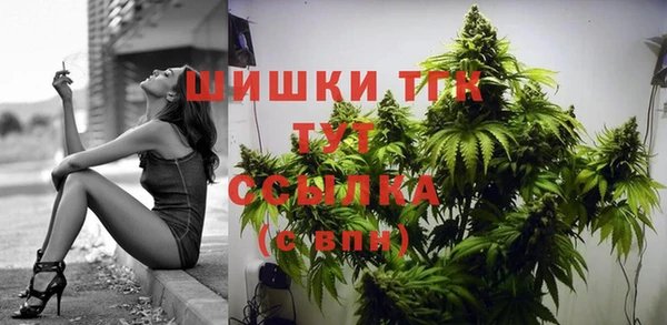 стаф Армянск