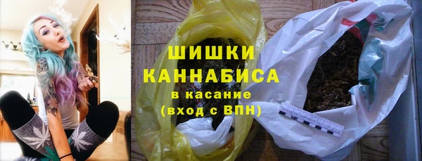 гашик Арсеньев