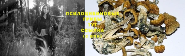 МДПВ Аркадак